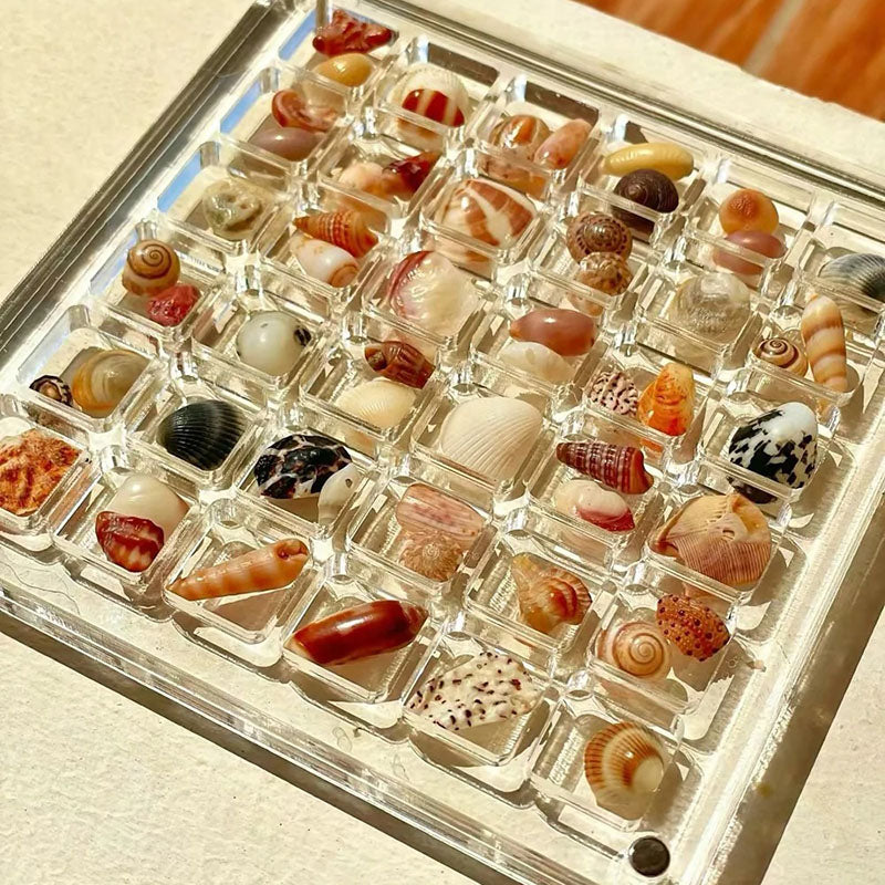 Acrylic Magnetic Seashell Display Box