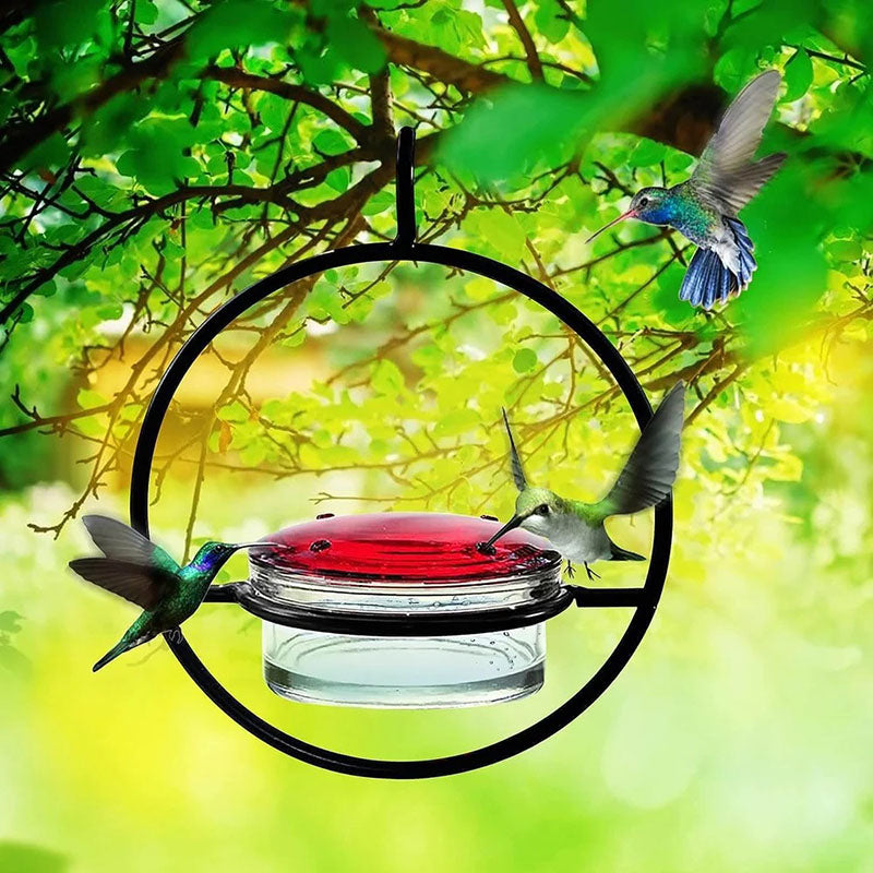 Hummble Slim Hummingbird Feeder