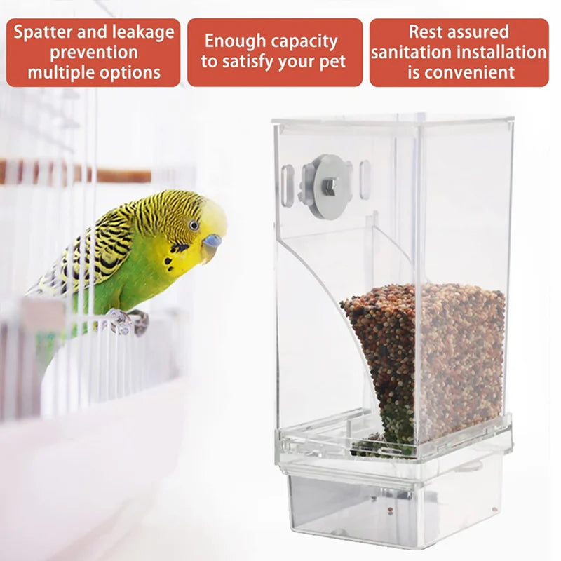 No Mess Automatic Bird Feeder