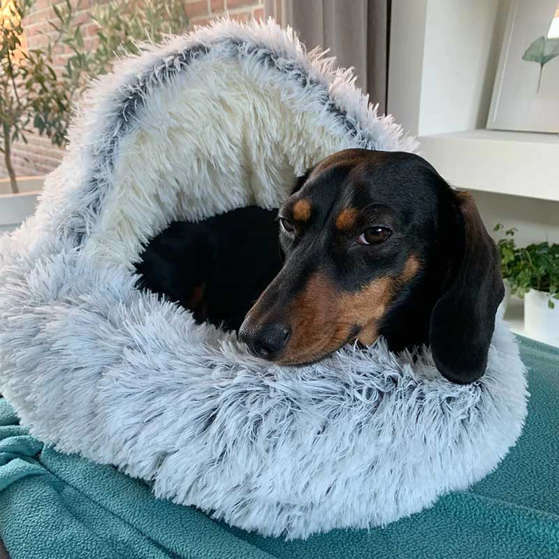 Best Sleep Cuddle Nest Pet Bed