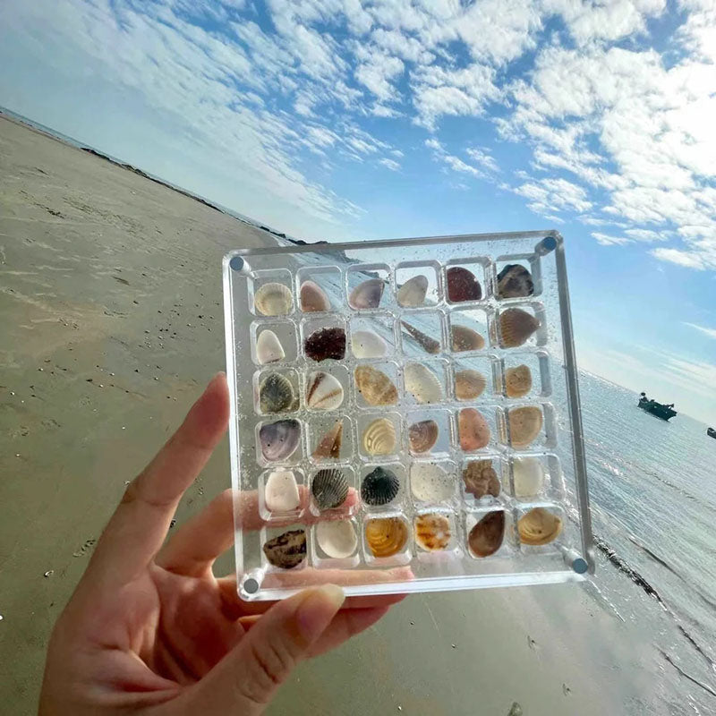 Acrylic Magnetic Seashell Display Box