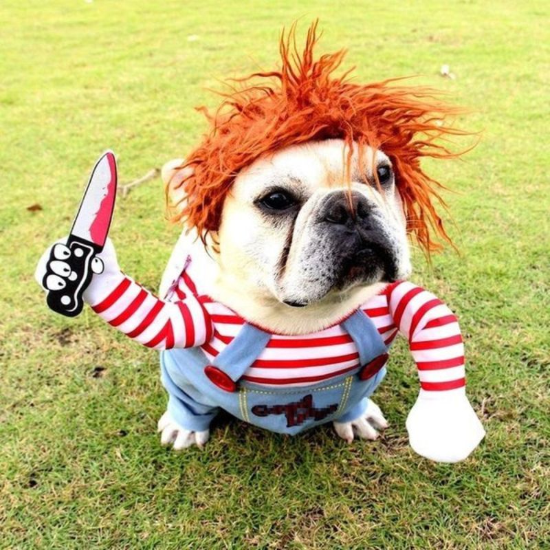 Chucky Pet Costume - Deadly Doll