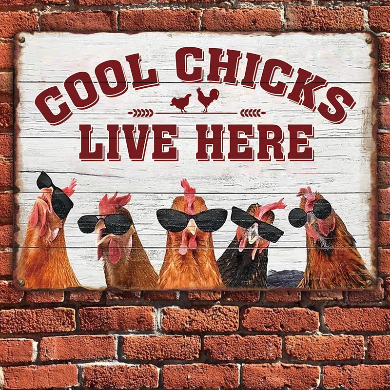 Chicken Coop Sign | Cool Chicks Live Here Chicken Coop Sign Metal Cool Chicks Live Here Information Signs