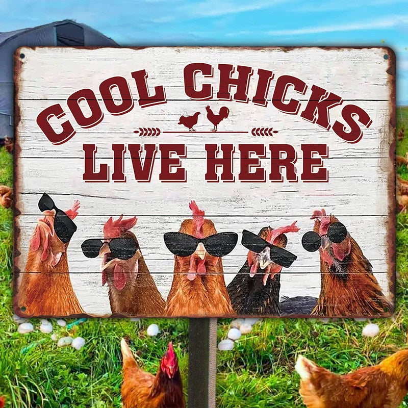 Chicken Coop Sign | Cool Chicks Live Here Chicken Coop Sign Metal Cool Chicks Live Here Information Signs