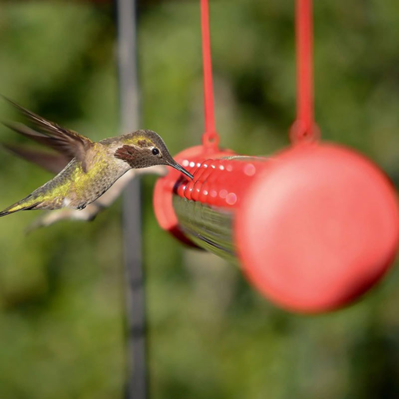 Bob’s Best Hummingbird Feeder