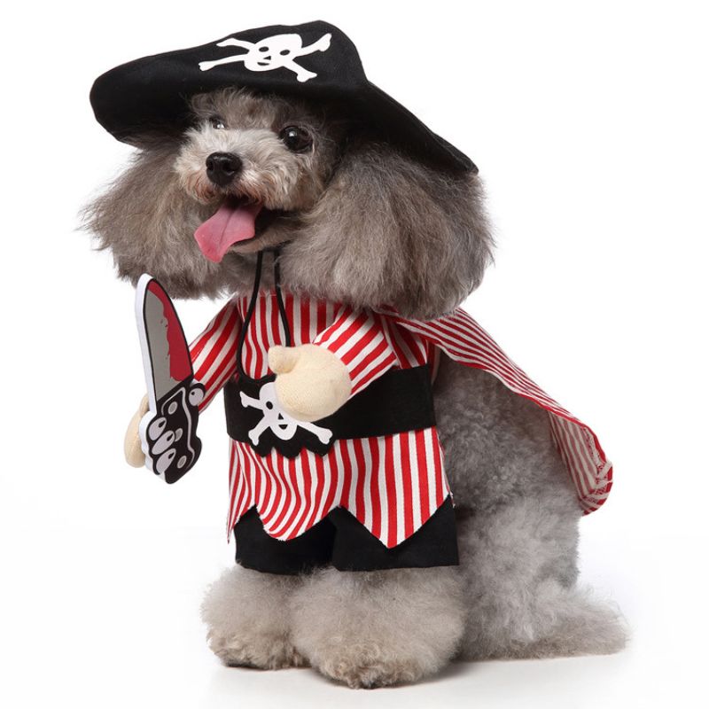 Chucky Pet Costume - Pirate