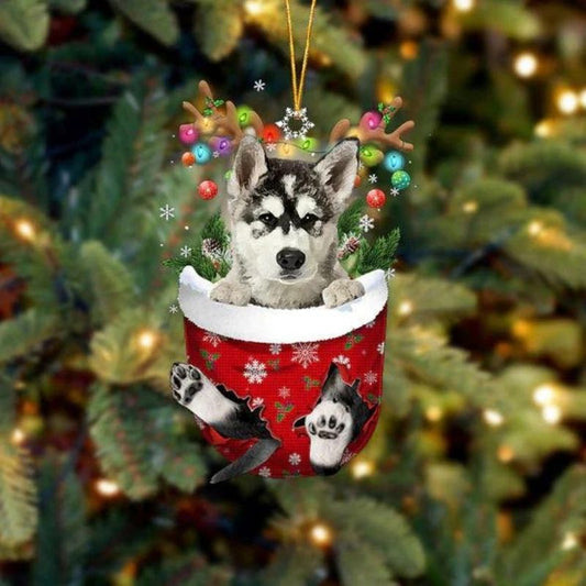 Alaskan Malamutes In Snow Pocket Christmas Ornament SP214