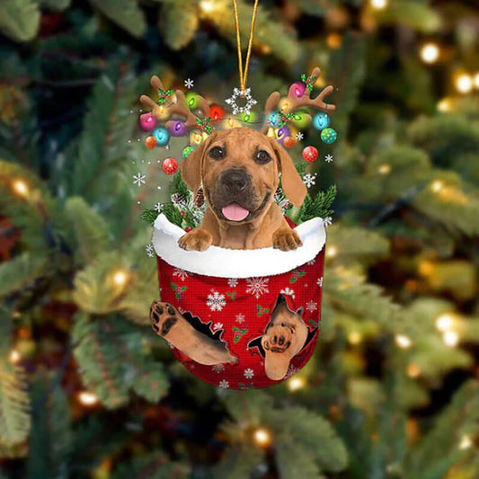 Boerboel In Snow Pocket Christmas Ornament SP224