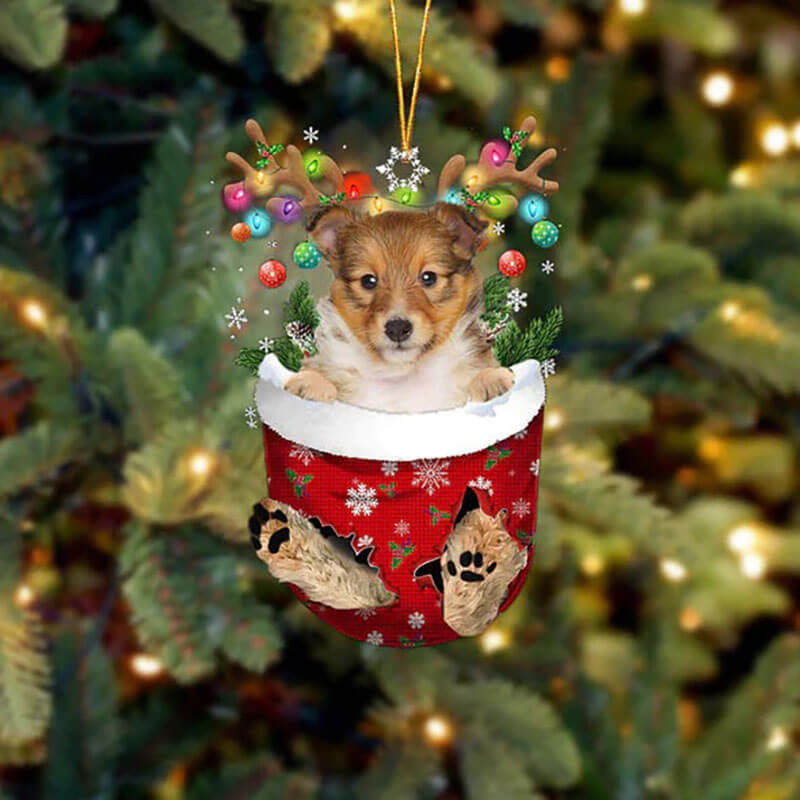 Shetland Sheepdog In Snow Pocket Christmas Ornament SP272