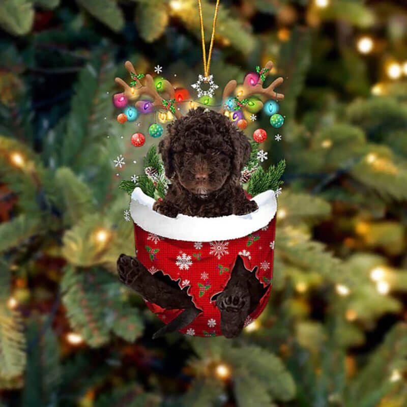 Spanish Water Dog In Snow Pocket Christmas Ornament SP275