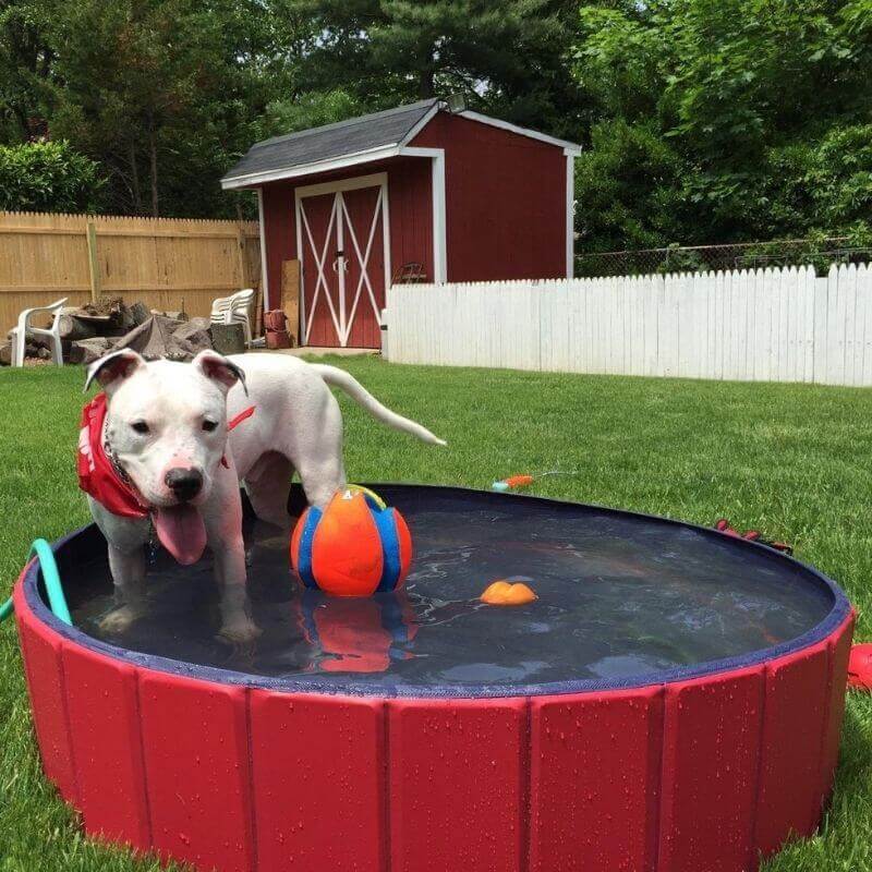 Portable Pool